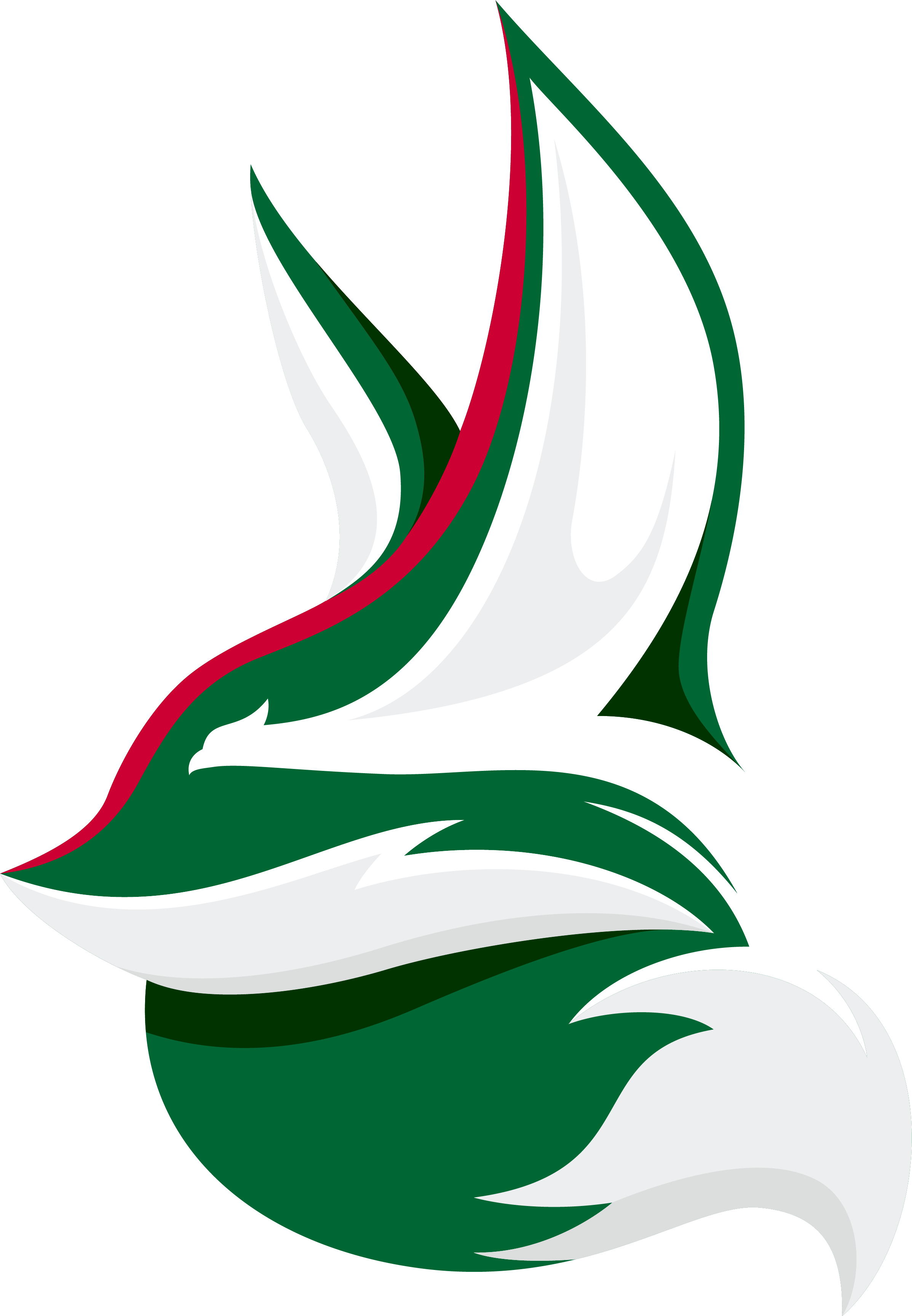 Digital Fennec